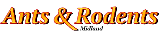 Midland Ant Exterminator & Rodent Control Company Logo